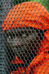 Julius Aghahowa